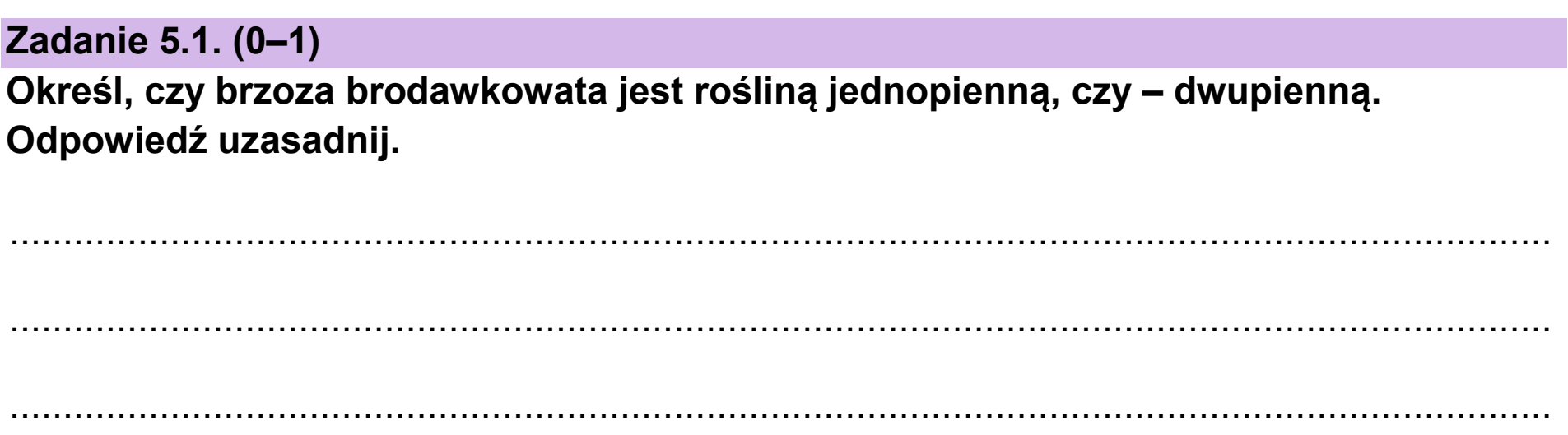 Matura próbna, grudzien 2024, zadanie 5.1