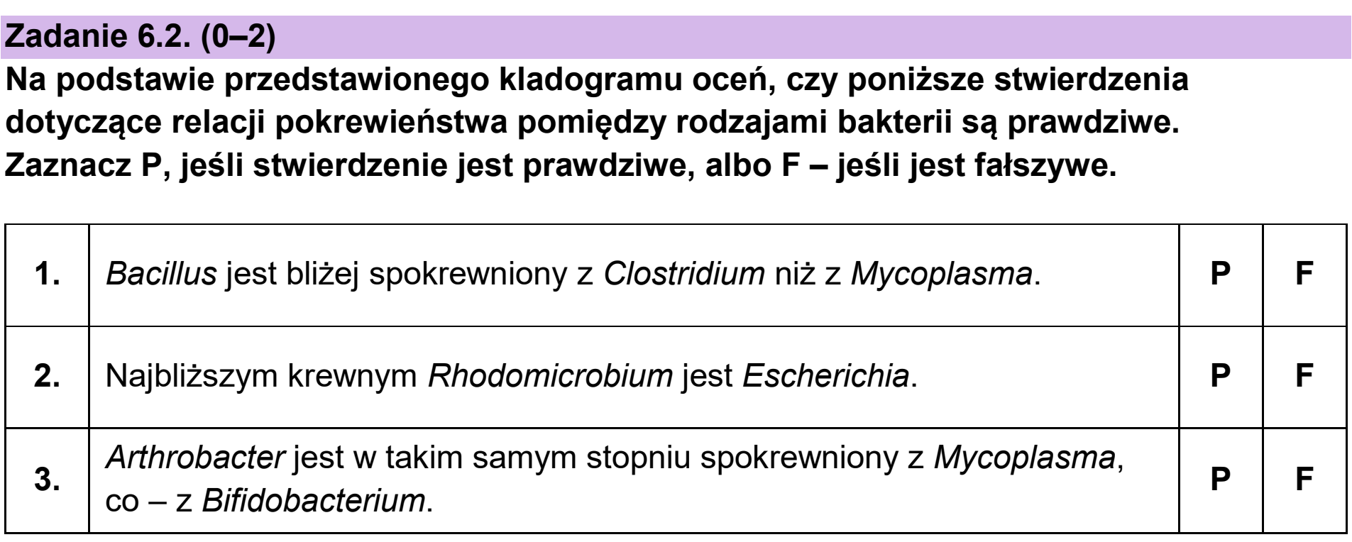 Matura próbna, grudzien 2024, zadanie 6.2