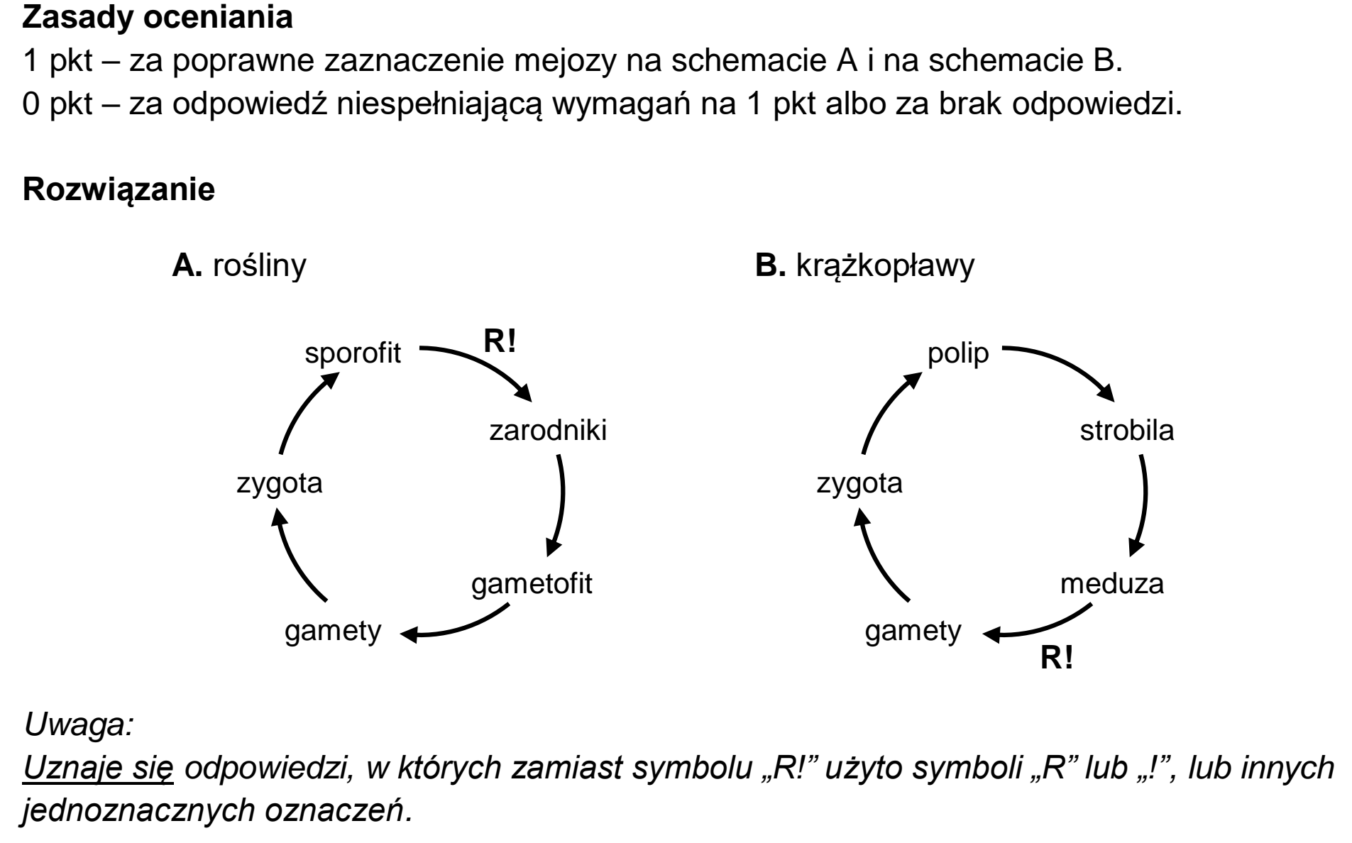 Matura, maj 2023, odpowiedź do zadania 3.1