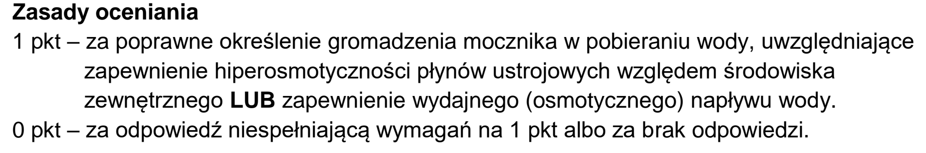 Matura, maj 2023, odpowiedź do zadania 7.2