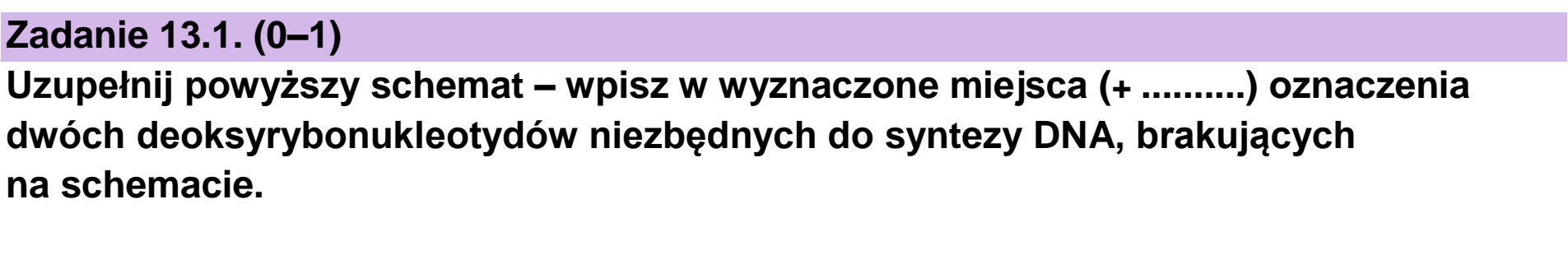 Matura, maj 2023, zadanie 13.1