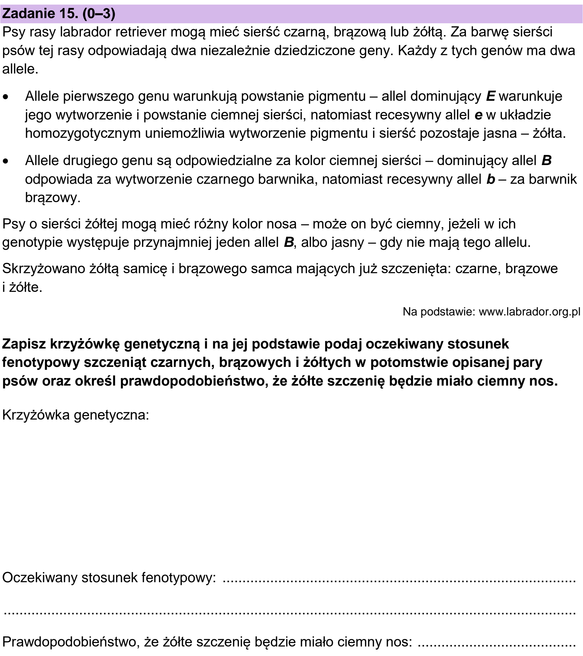 Matura, maj 2023, zadanie 15