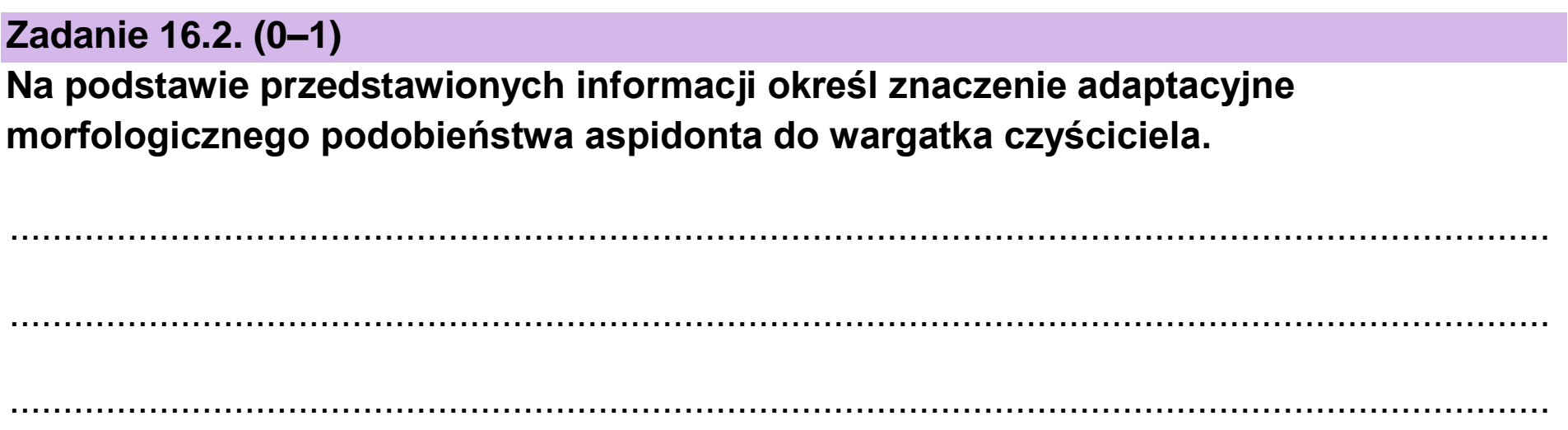 Matura, maj 2023, zadanie 16.2