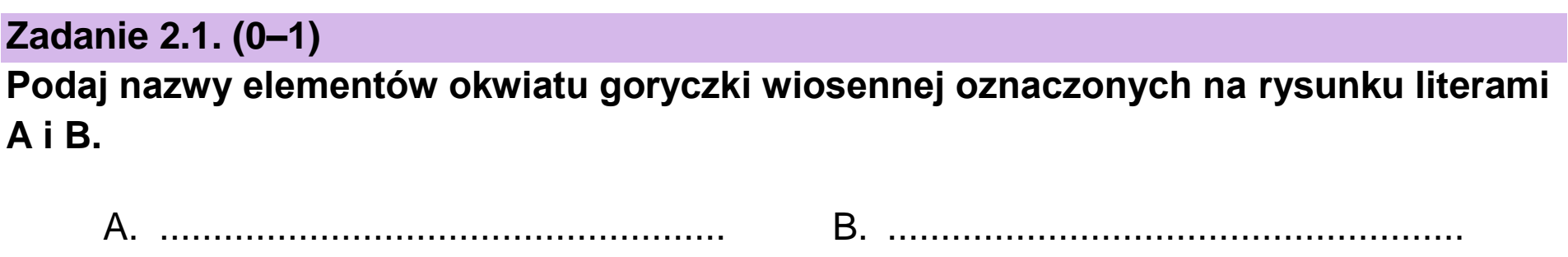 Matura, maj 2023, zadanie 2.1