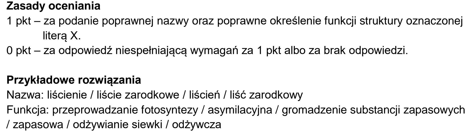 Matura, maj 2024, odpowiedź do zadania 8.2, fragment 1