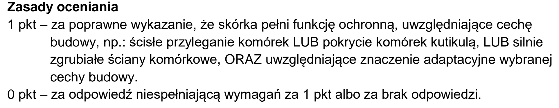 Matura, maj 2024, odpowiedź do zadania 9.2