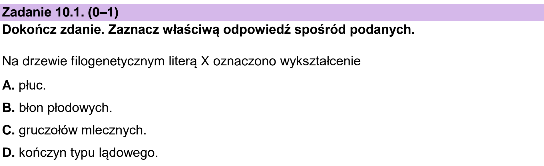 Matura, maj 2024, zadanie 10.1
