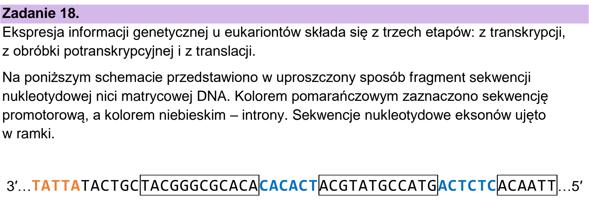 Matura, maj 2024, wstęp zadania 18