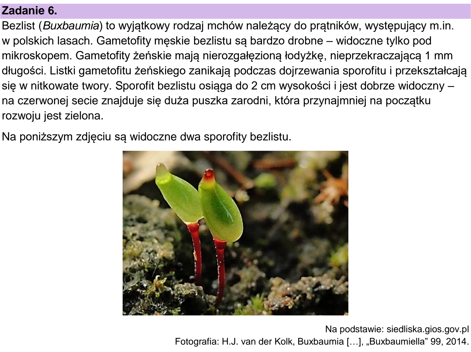 Matura, maj 2024, wstęp zadania 6