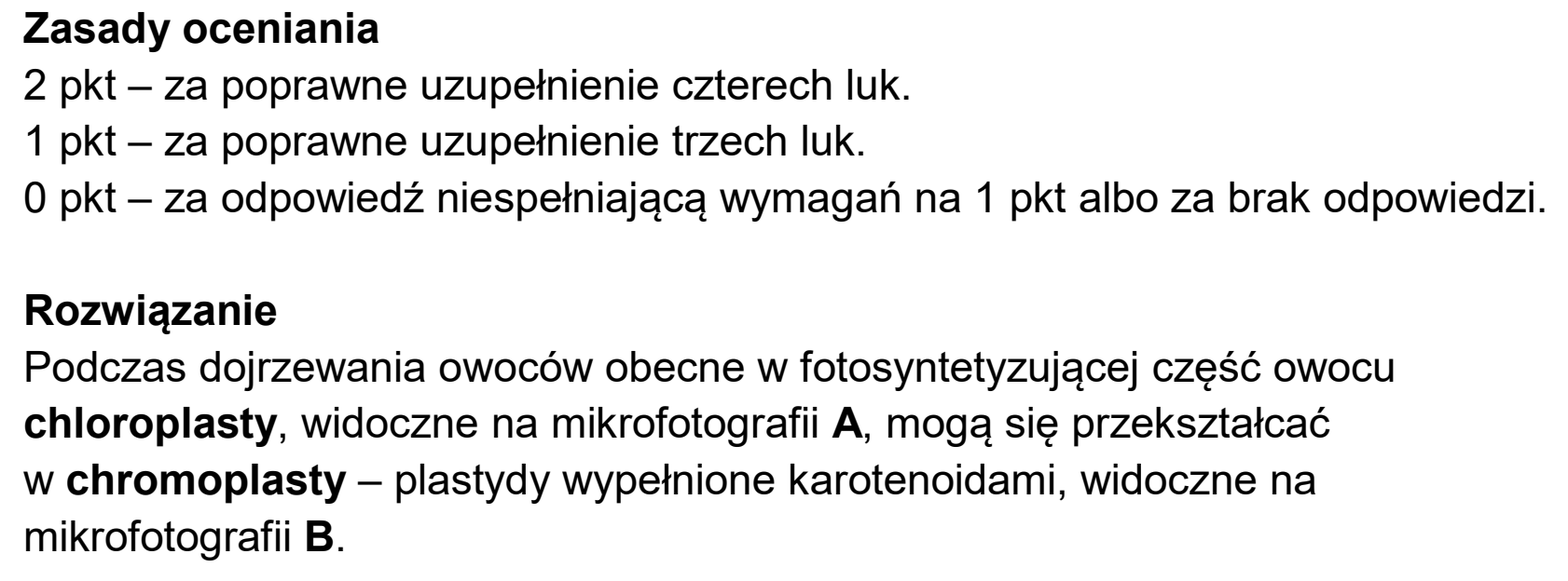 Matura, maj 2025, odpowiedź do zadania 2.1