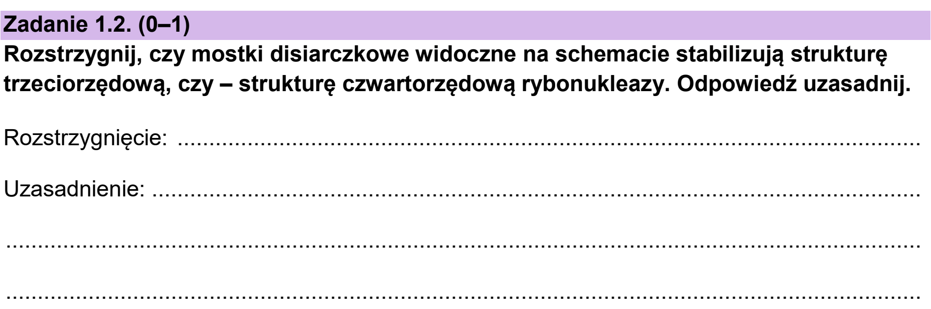 Matura, maj 2025, zadanie 1.2