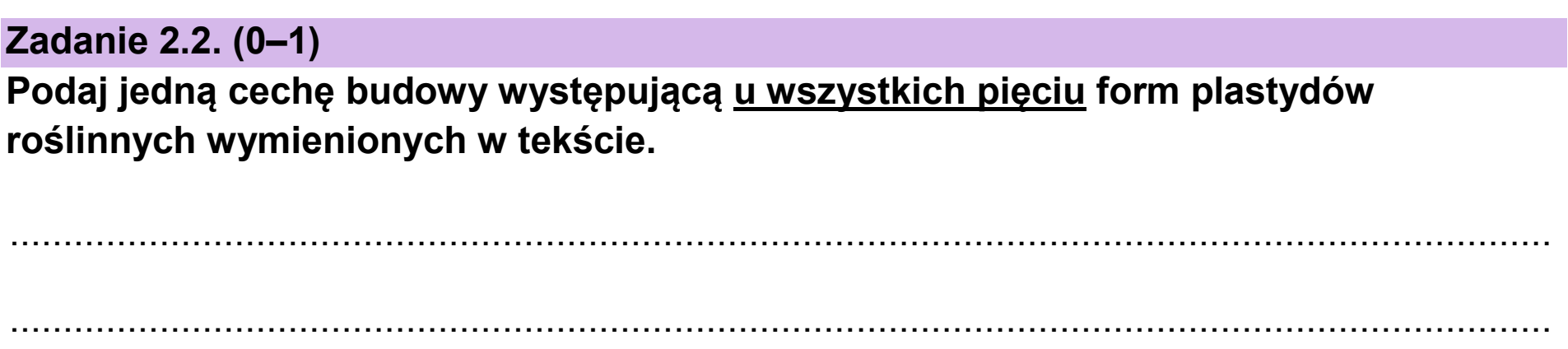 Matura, maj 2025, zadanie 2.2