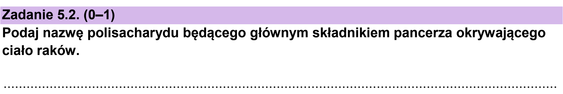 Matura, maj 2025, zadanie 5.2