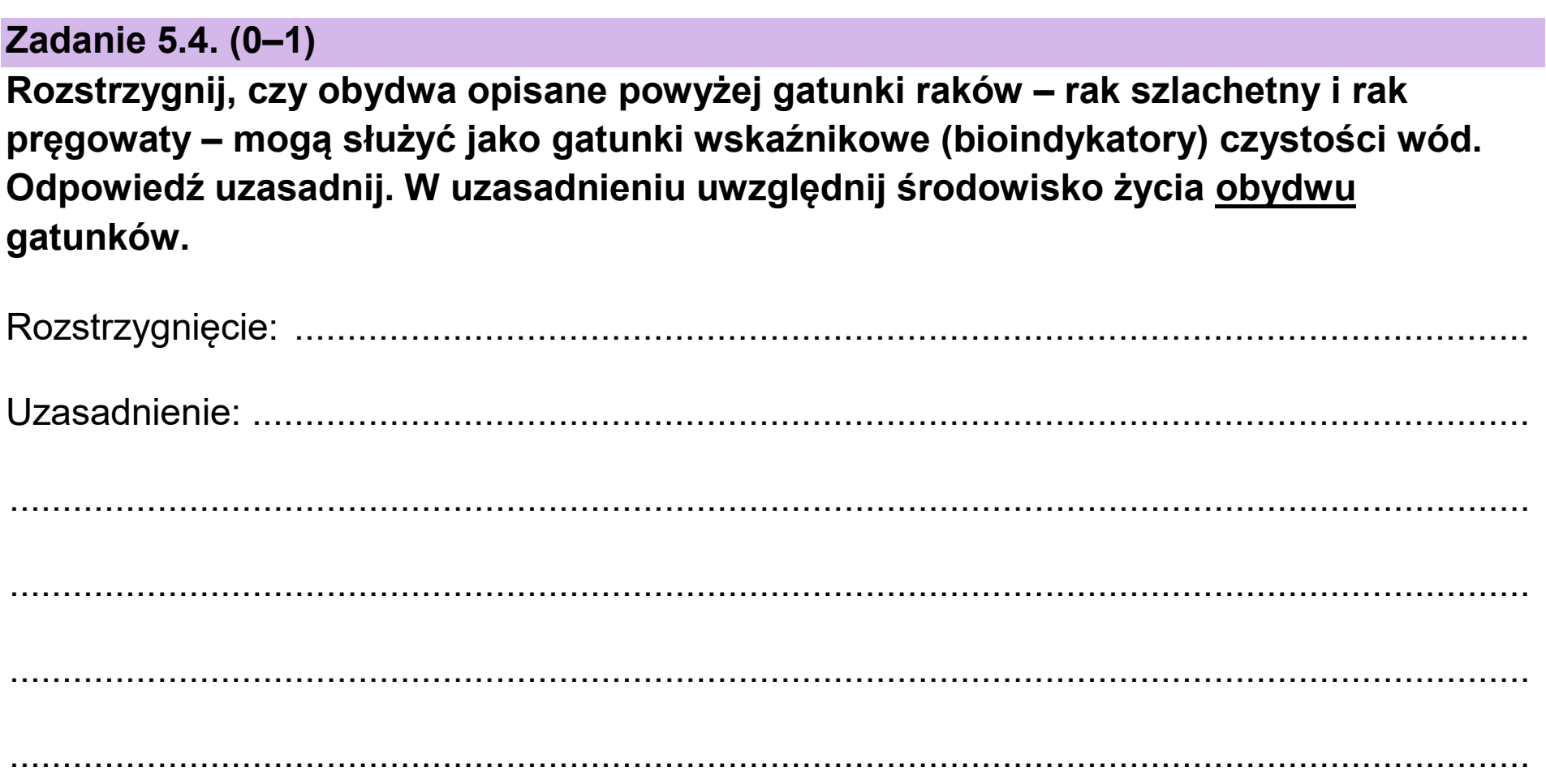 Matura, maj 2025, zadanie 5.4