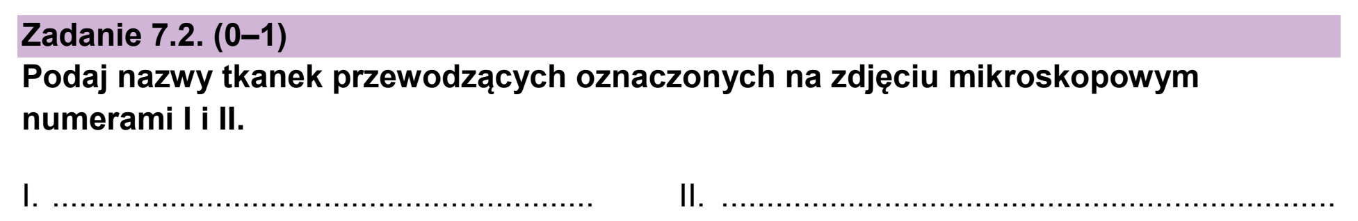 Matura, maj 2026, zadanie 7.2