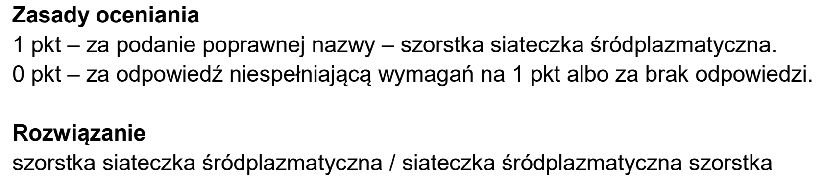 Matura próbna, styczen 2026, odpowiedź do zadania 14.2