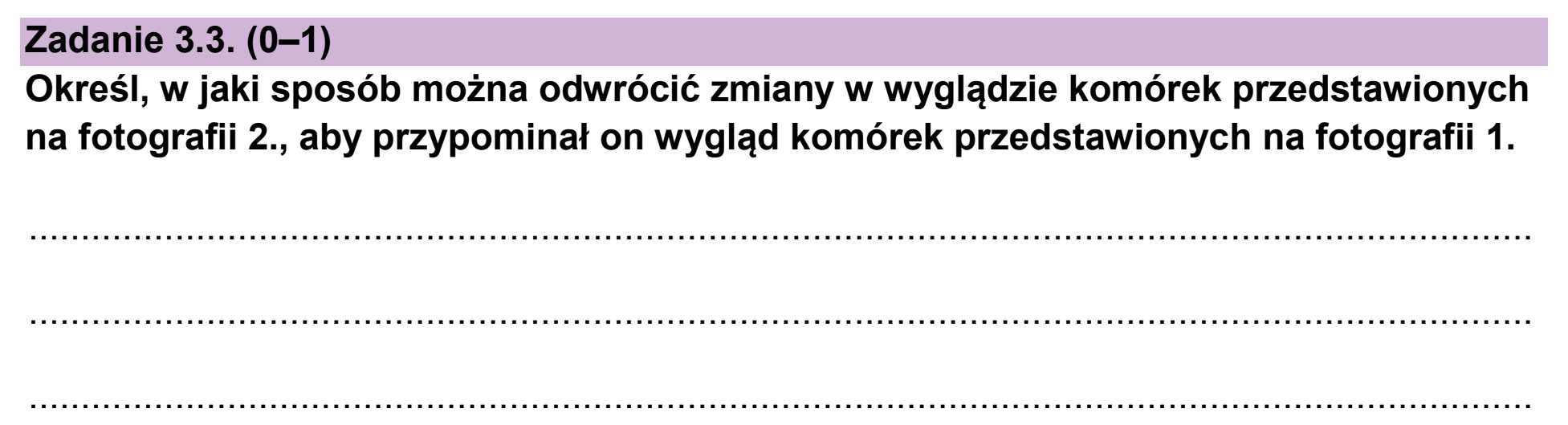 Matura próbna, styczen 2026, zadanie 3.3