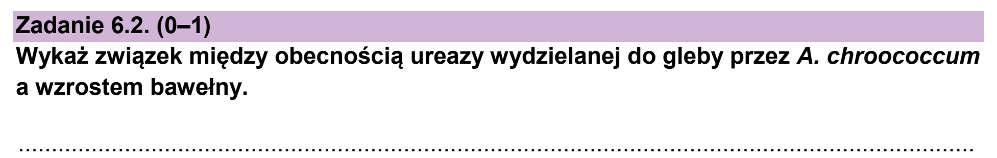 Matura próbna, styczen 2026, zadanie 6.2