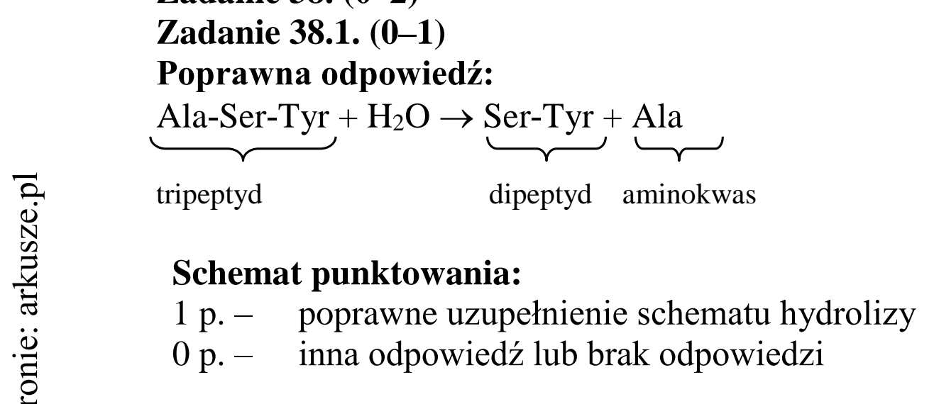 Matura dodatkowa, czerwiec 2015, odpowiedź do zadania 38.1