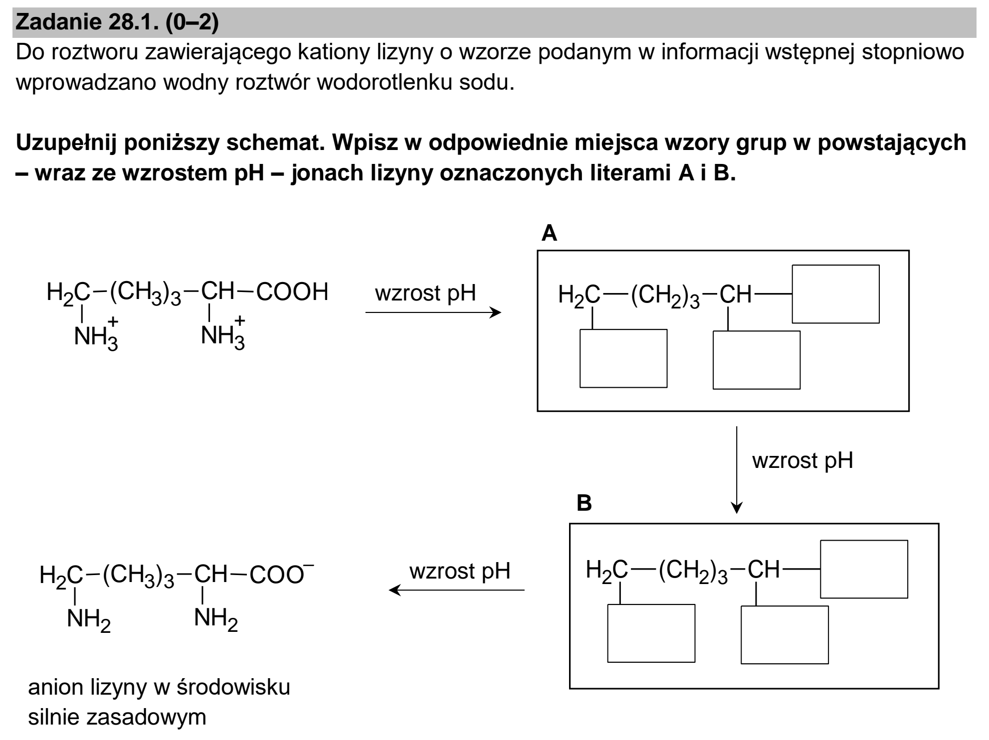 Matura dodatkowa, czerwiec 2025, zadanie 28.1