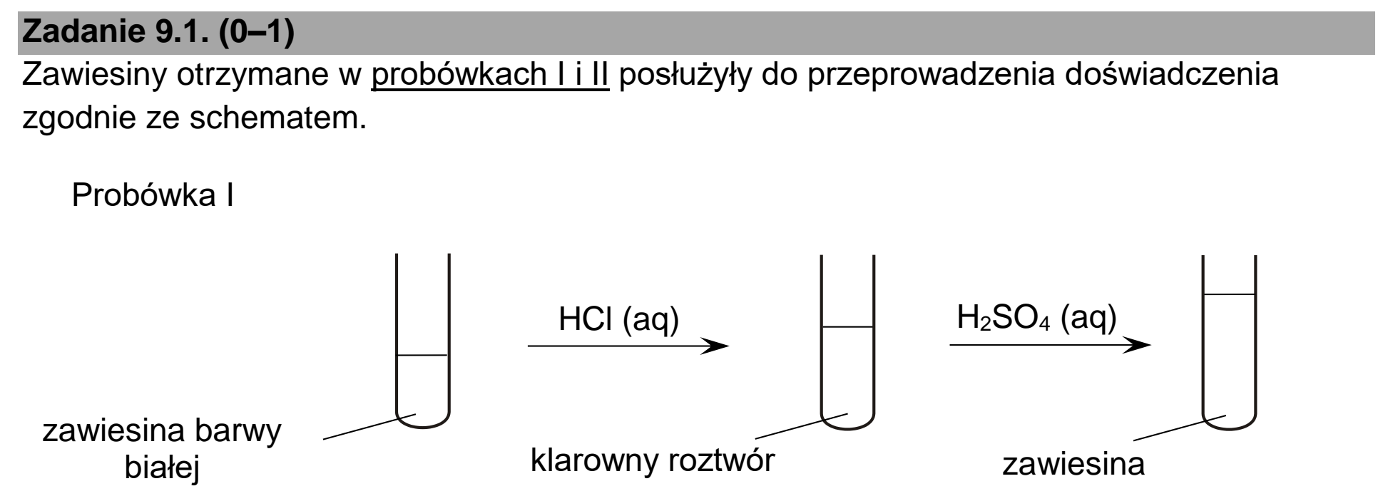 Matura, maj 2025, zadanie 9.1, fragment 1