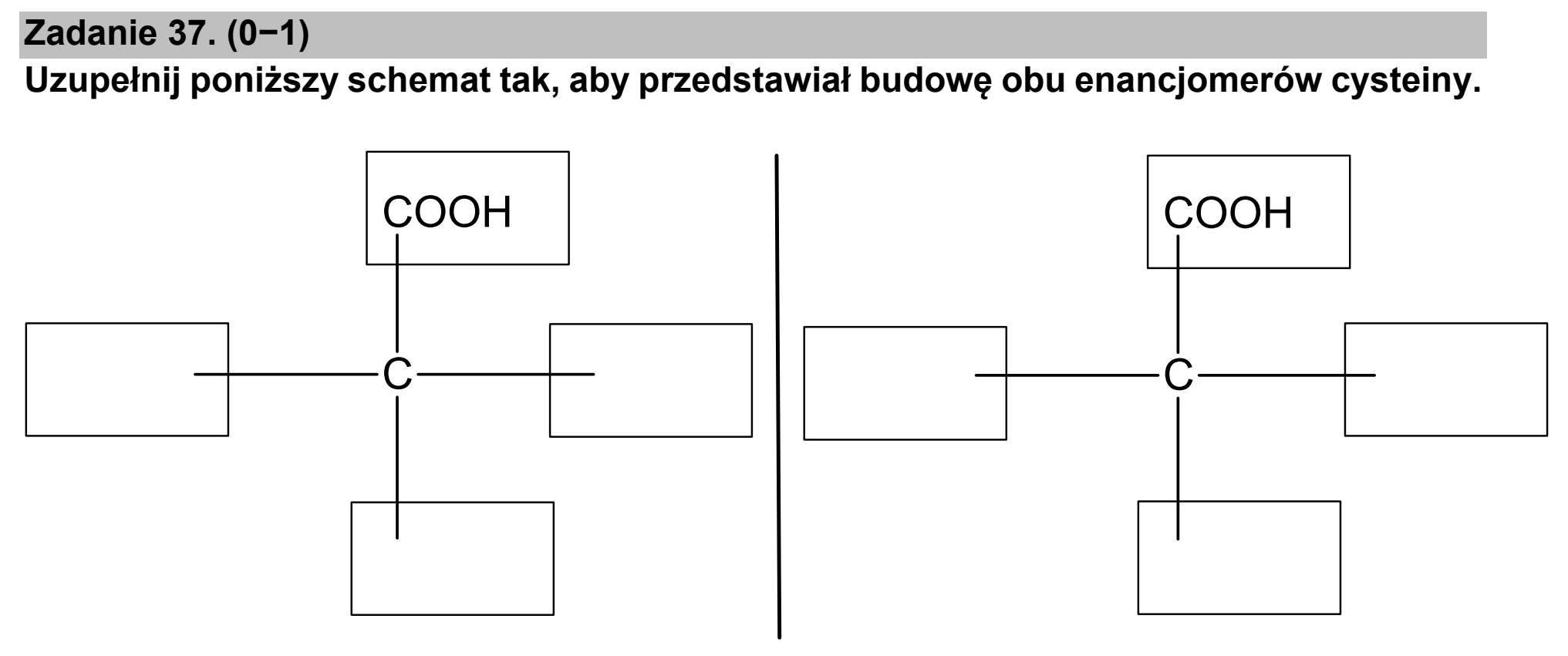 Matura próbna, marzec 2021, podgląd zadania 37