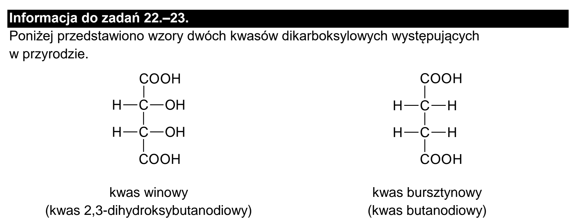 Matura dodatkowa, czerwiec 2024, zadanie 21, fragment 2