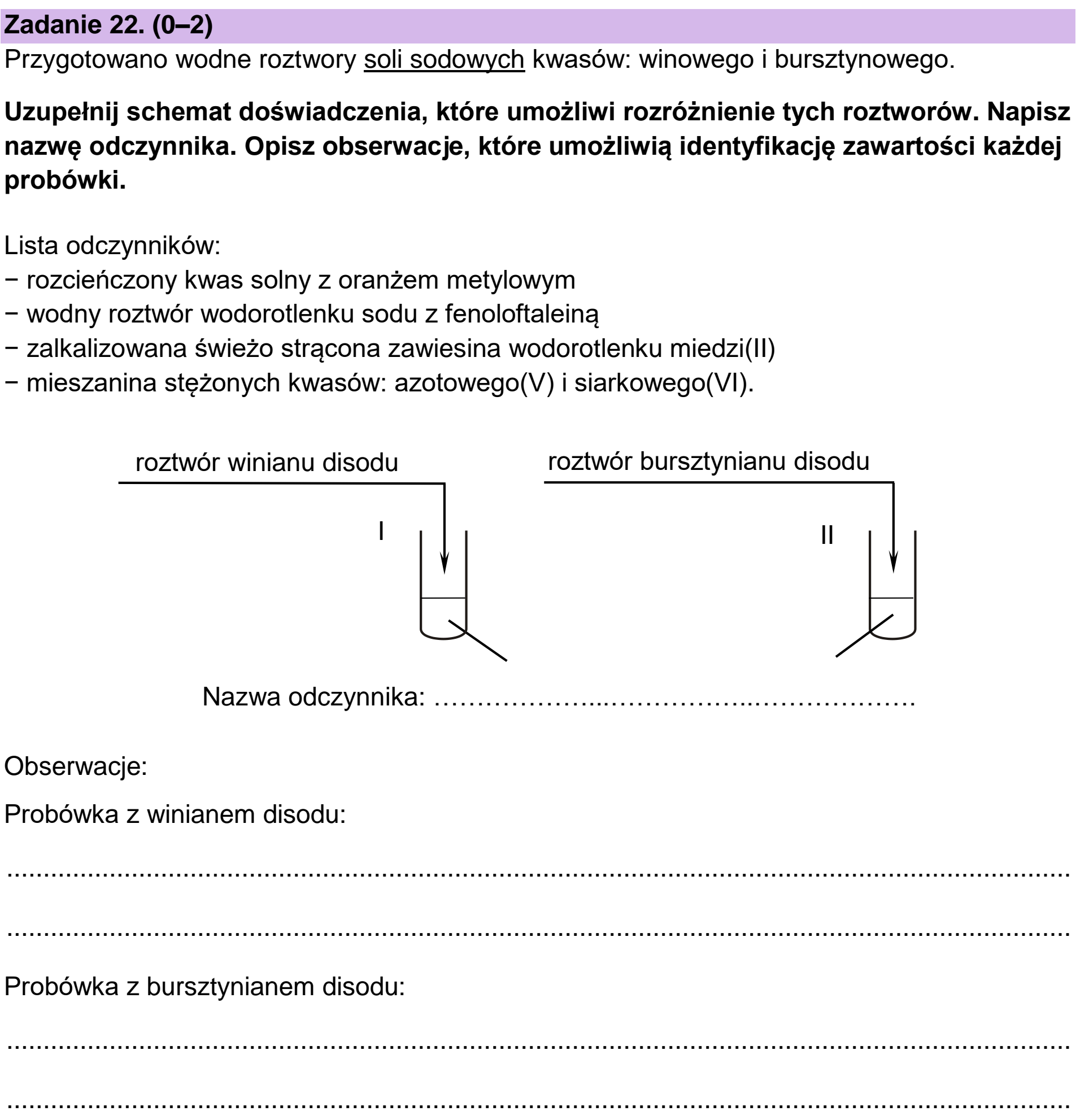 Matura dodatkowa, czerwiec 2024, podgląd zadania 22
