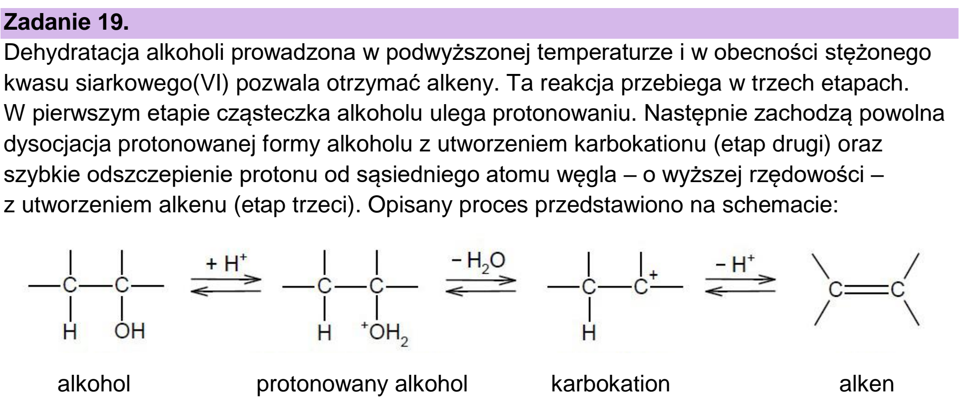 Matura dodatkowa, czerwiec 2025, wstęp zadania 19, fragment 1