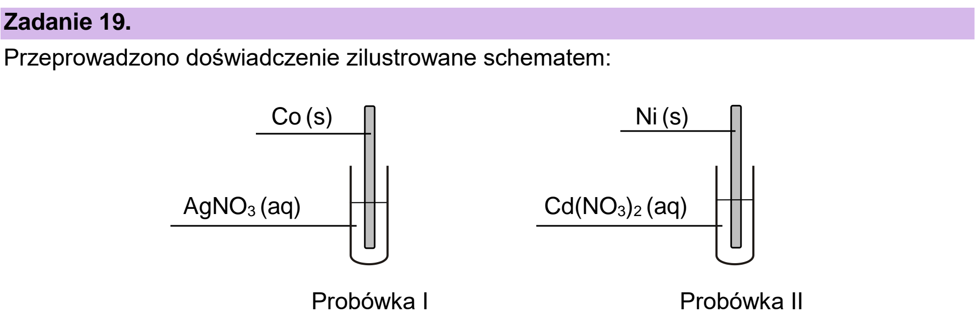 Matura dodatkowa, czerwiec 2026, wstęp zadania 19