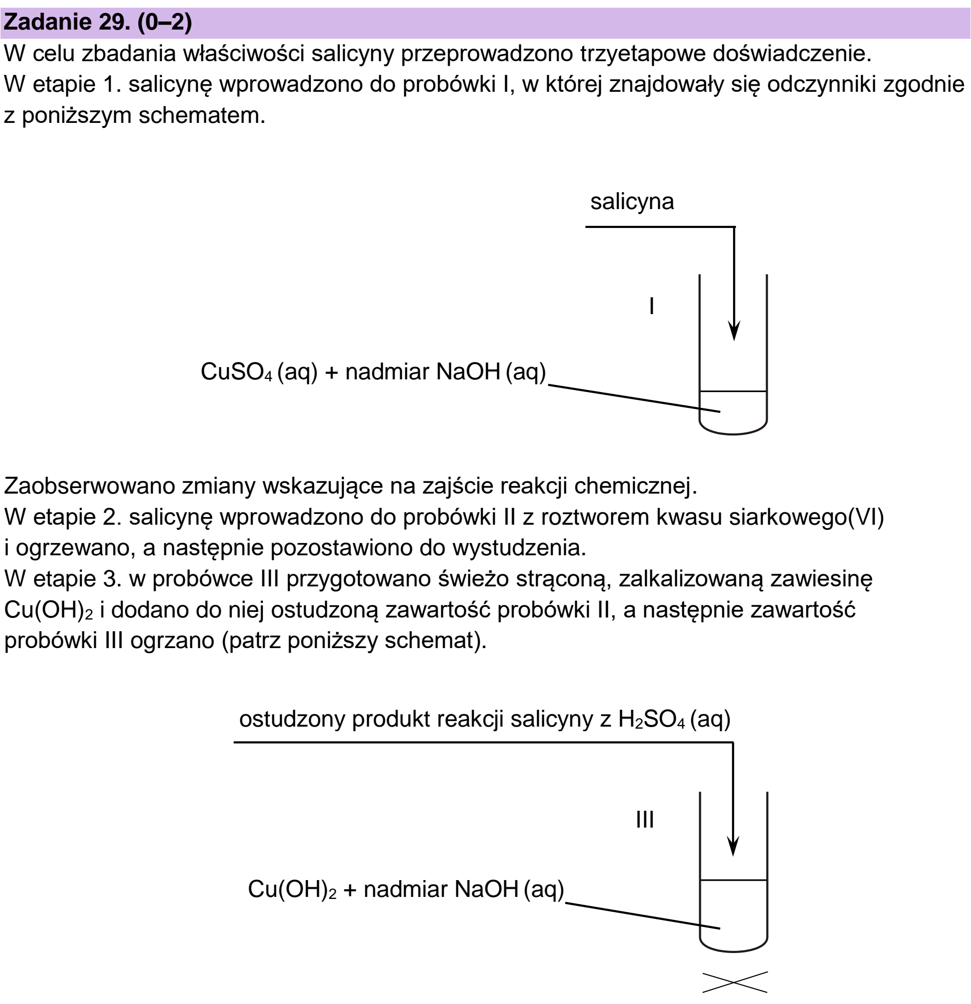 Matura próbna, styczen 2026, podgląd zadania 29, fragment 1