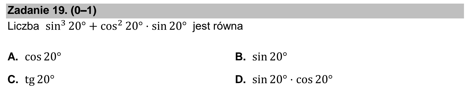 Matura, maj 2024, podgląd zadania 19